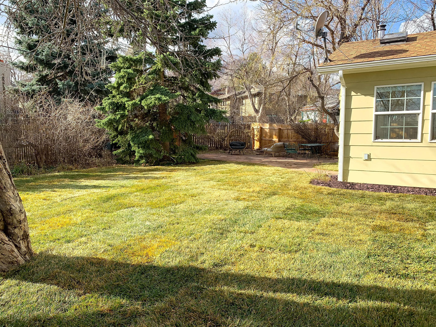 back yard with new sod