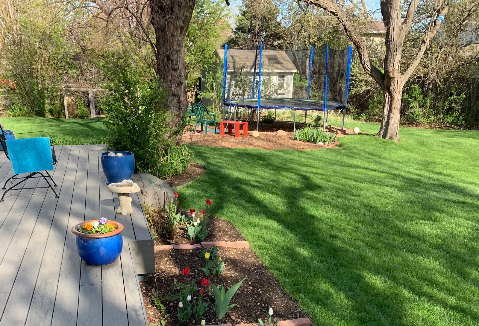 backyard-trampoline