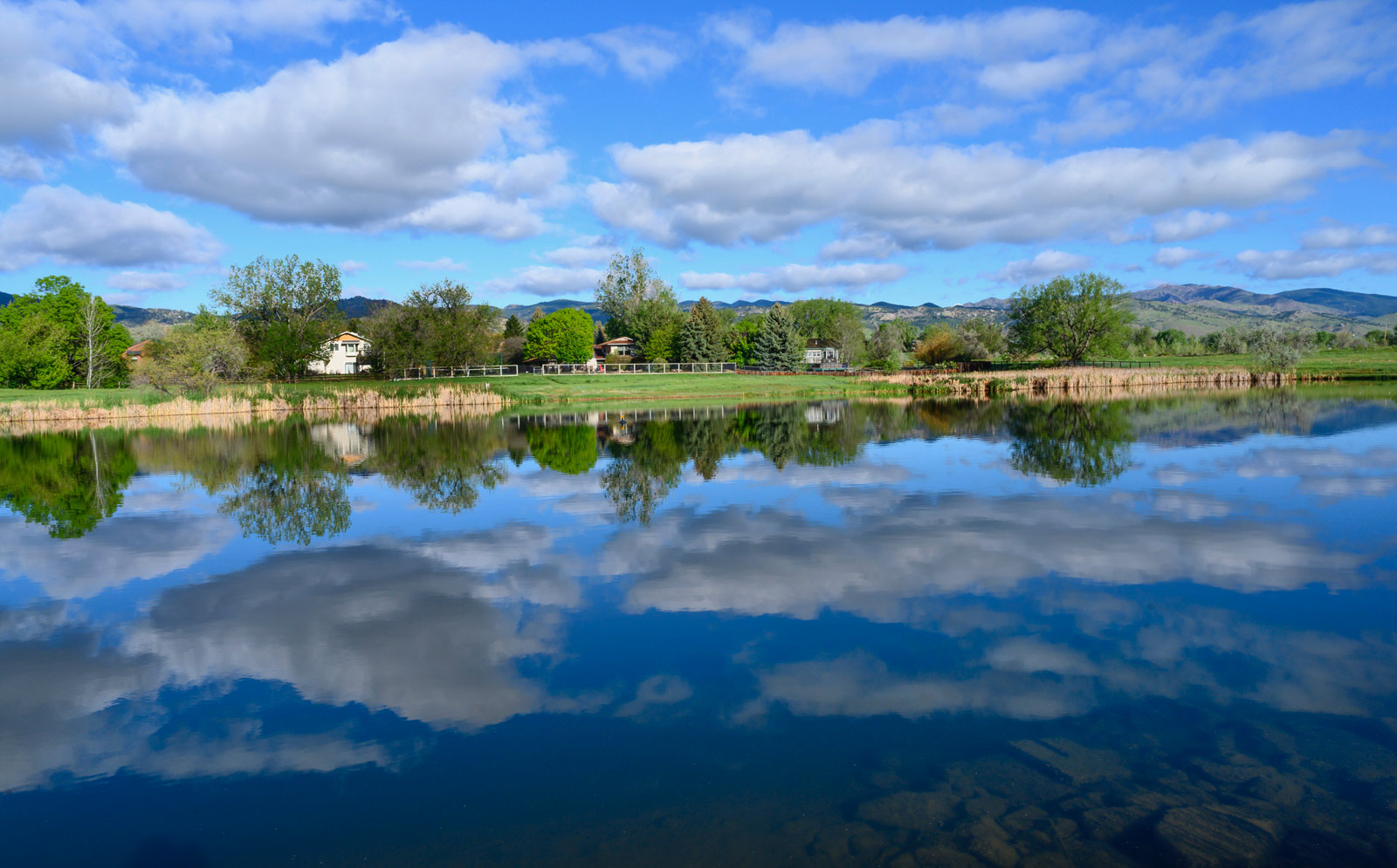 pond-sumemr-cloudreflections