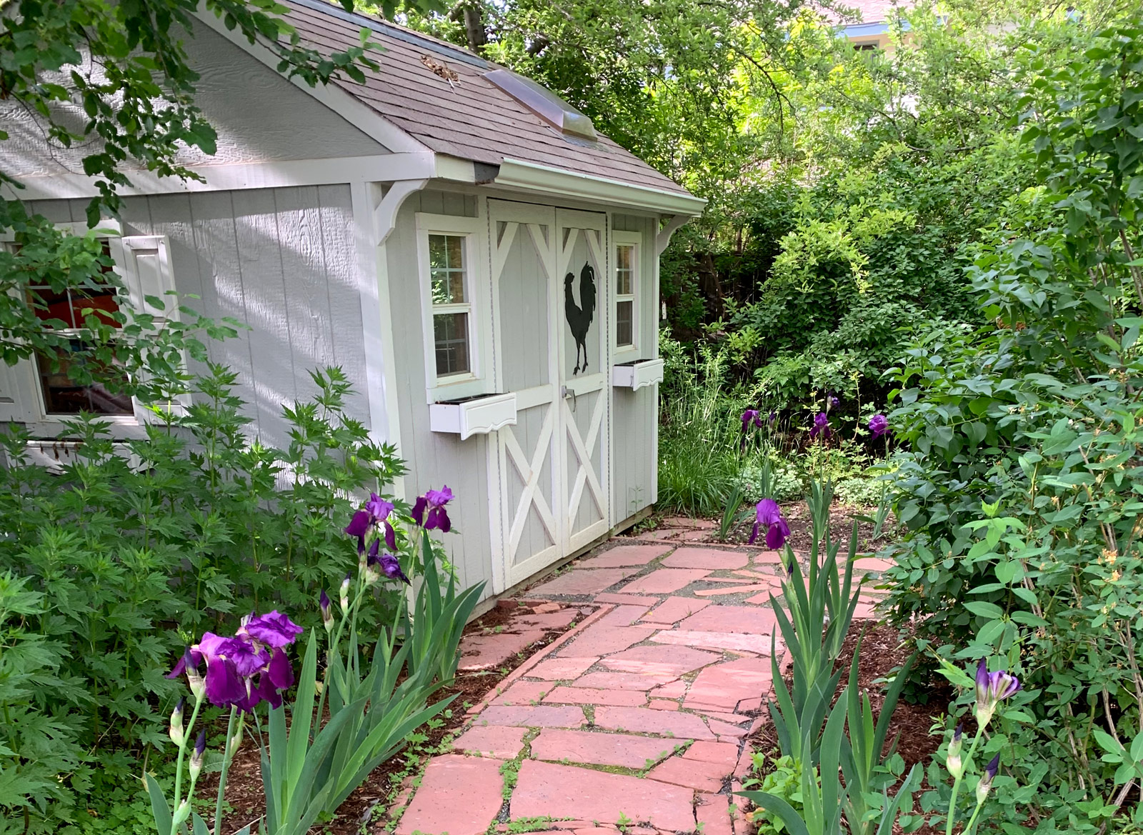 shed-path-flowers